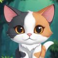 Cat Challenge