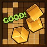 Wood Block-Sudoku Master