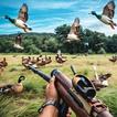 Desafío de caza de patos
