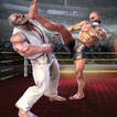 Boxclub 3D