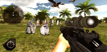 Rabbit Hunting 3D