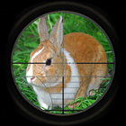 Icona Caccia al coniglio 3D