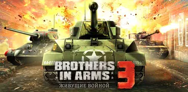 Brothers in Arms® 3