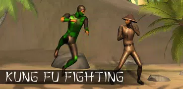 Kung Fu Revenge Fighting