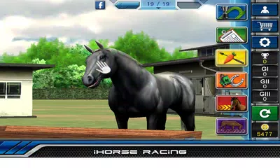 download iHorse™ Racing (original game) XAPK