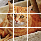 Fun Art Puzzle icône