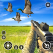 Jungle Bird Hunting Game 3D
