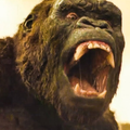 Godzilla And King Kong Game