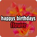 happys birthday friends
