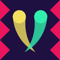 Double Zig-Zag Snake