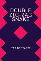 Double Zig-Zag Snake الملصق