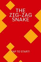The Zig-Zag Snake Cartaz