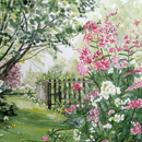 Garden - HD Wallpapers APK