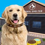 動物保護施設: 私のペットの犬のシム