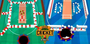 Color Cricket.IO- Hole 3D