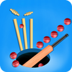 Color Cricket.IO- Hole 3D