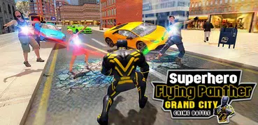 Superhero Flying Panther Grand City Crime Battle