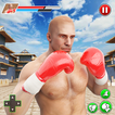 Boxing King Fighting Fury Club