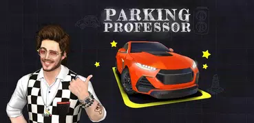 Профессор Парковки Машин 3D