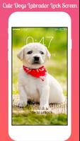 Dogs Labrador Lock screen Dogs Labrador HD AppLock Ekran Görüntüsü 3