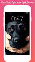 Dogs Labrador Lock screen Dogs Labrador HD AppLock Ekran Görüntüsü 1
