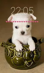 Puppy Dog Pattern Lock Screen  APK download