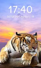 Скачать Tiger Lock Screen Wallpaper Hd XAPK
