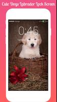 Cute Dogs Labrador Lock screen HD Applock security Ekran Görüntüsü 3