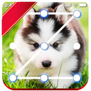 Husky Lock Screen Seberian Hus APK