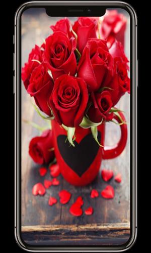 Red Rose Flower Lock Screen Red Rose Wallpapers For Android Apk Download Premium quality iphone wall papers. red rose flower lock screen red rose