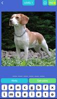 Poster Dog Quiz - Guess the Breed!