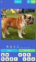 Dog Quiz - Guess the Breed! syot layar 1