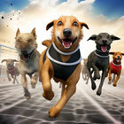 개 경주 애완 동물 경주 게임 아이콘