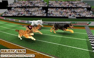 Dog Racing game - dog games poster