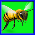 Bee Fighter : Free