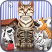 Pregnant Cat Kitty Pet Games