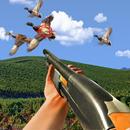 Duck Hunting - Shooting Game APK