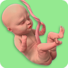 Mom Pregnancy Games: Mom Care আইকন
