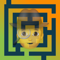 Maze Detective