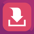 Video downloader