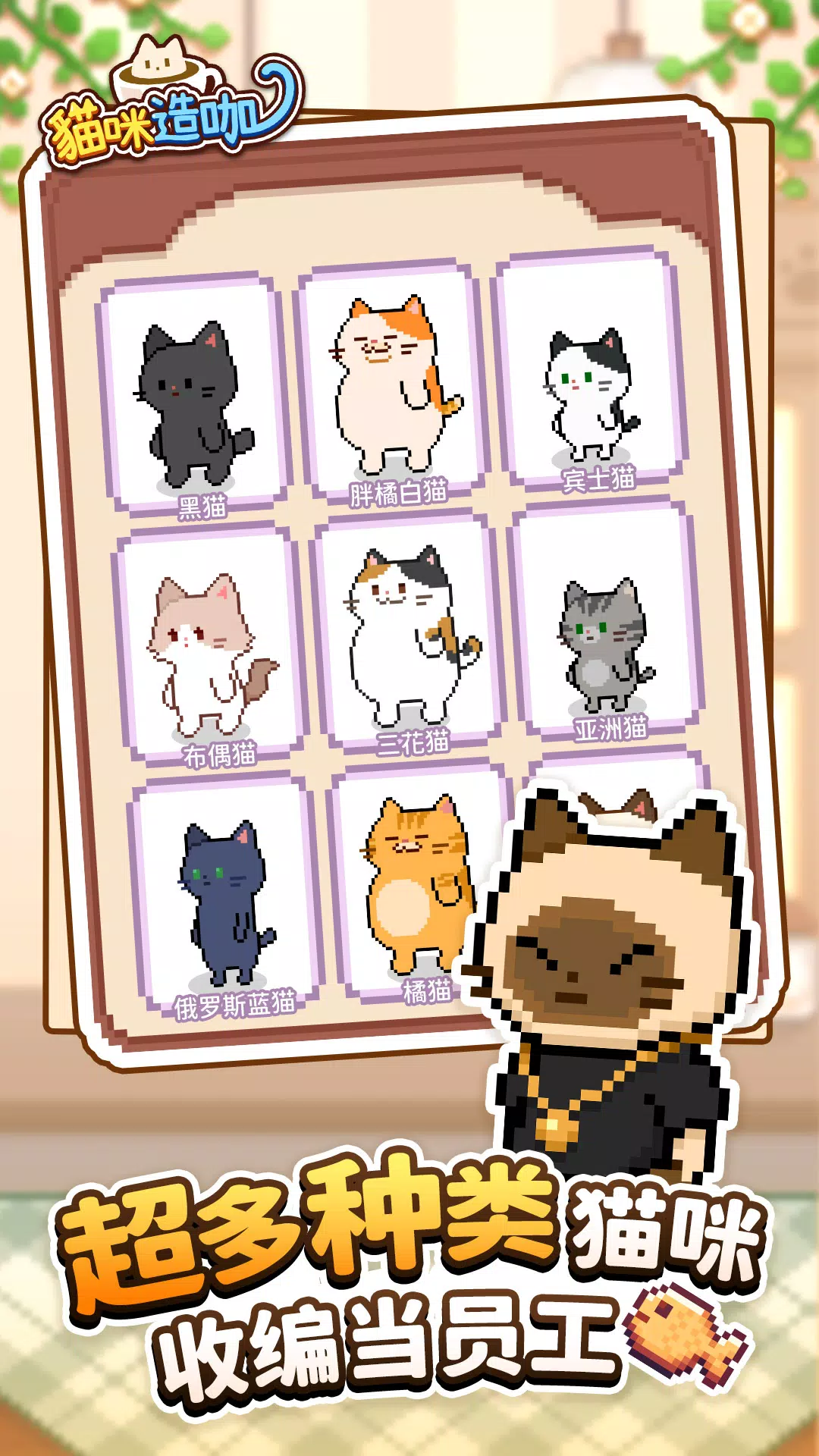 貓咪造咖-有故事的貓咪咖啡廳CAT CAFE