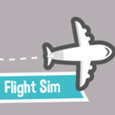 Flight Sim Airport, flight Avi APK
