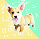 Puppies Cooperation APK