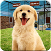 Animal Shelter Dogs Simulator