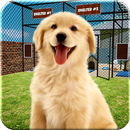 Animal Shelter Dogs Simulator APK