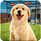 Animal Shelter Dogs Simulator иконка