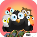 Rock Bird