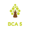 BCA5 APK