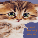 صور قطط حزينه بدون نت APK