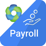 Farvision Payroll icône